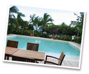 Paul McCartney Raises his Voice to Norm Levy